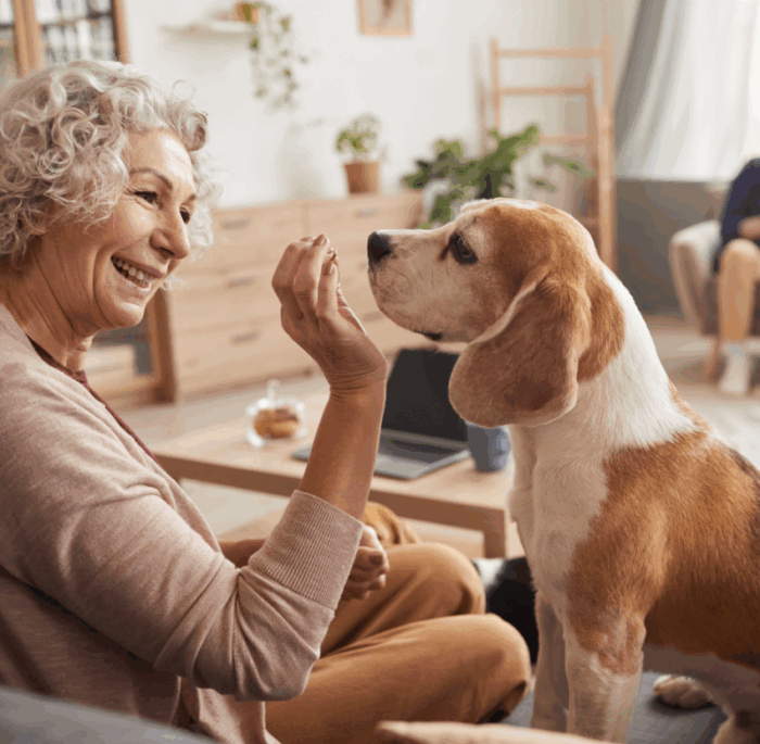 Une dame âgée caresse son chien, profitant d’un moment de compagnie qui renforce le lien affectif et contribue à sa vie sociale au quotidien.